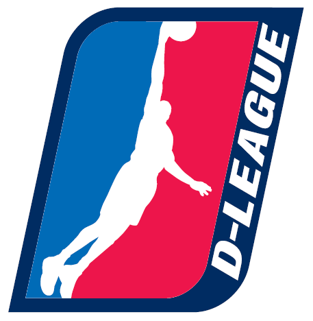 NBA D-League 2006-Pres Alternate Logo iron on transfers for clothing